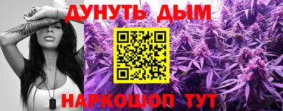крисы Будённовск