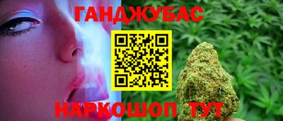 крисы Будённовск